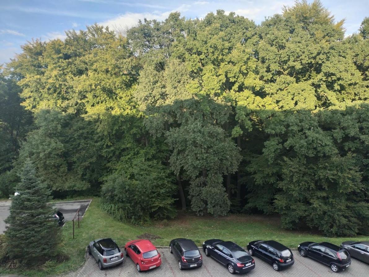 Nowoczesne Mieszkanie 63M2 Jastrzębie Zdrój Exterior foto